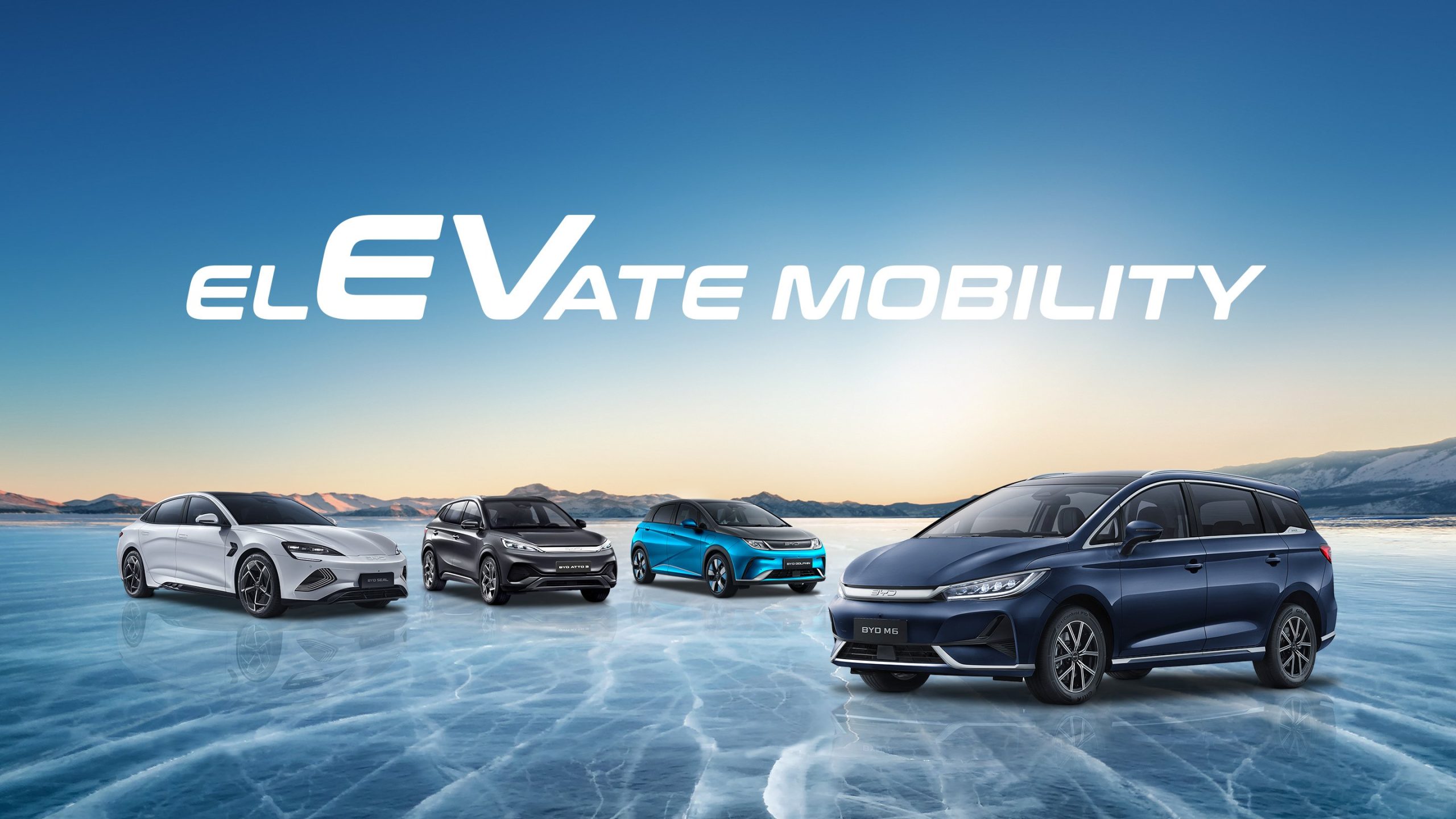 4cars-home-desktop-scaled.jpg